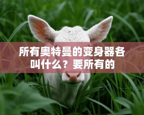 所有奥特曼的变身器各叫什么？要所有的