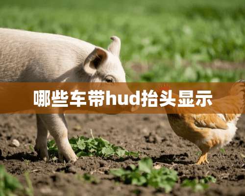 哪些车带hud抬头显示