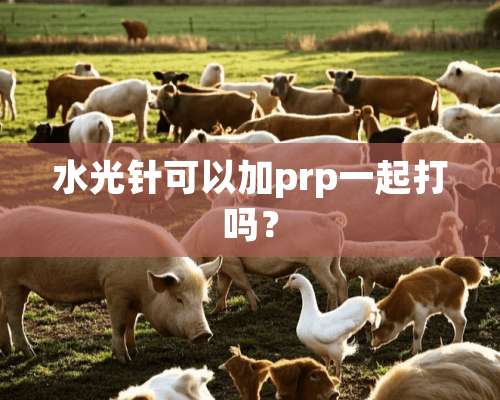 水光针可以加prp一起打吗？