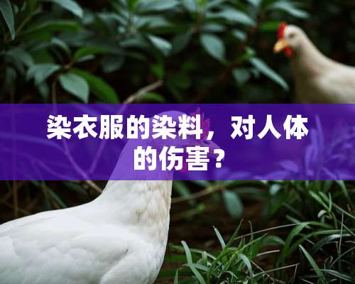 染衣服的染料，对人体的伤害？