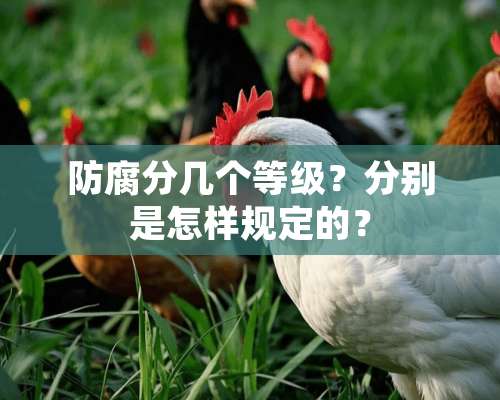 防腐分几个等级？分别是怎样规定的？