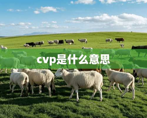 cvp是什么意思