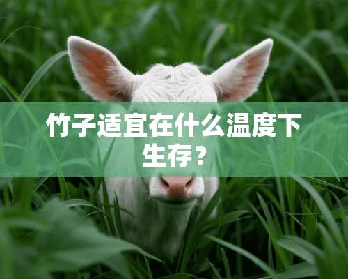 竹子适宜在什么温度下生存？