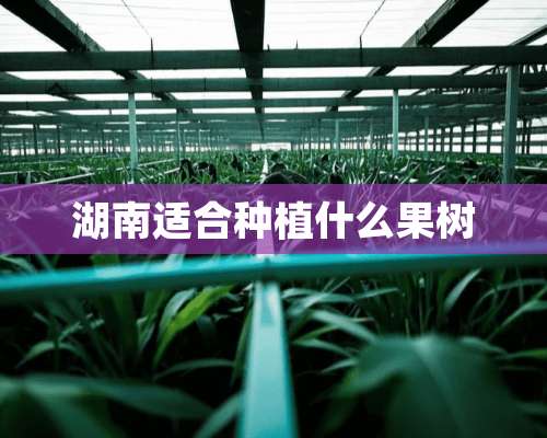 湖南适合种植什么果树