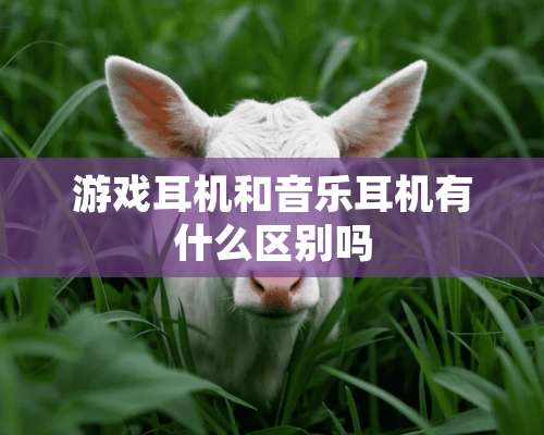 游戏耳机和音乐耳机有什么区别吗