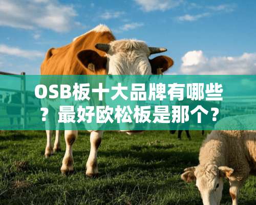 OSB板十大品牌有哪些？最好欧松板是那个？