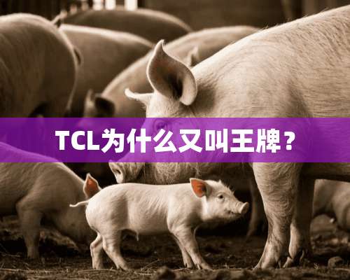 TCL为什么又叫王牌？