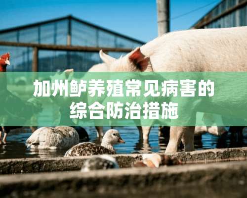 加州鲈养殖常见病害的综合防治措施