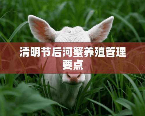 清明节后河蟹养殖管理要点