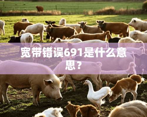 宽带错误691是什么意思？