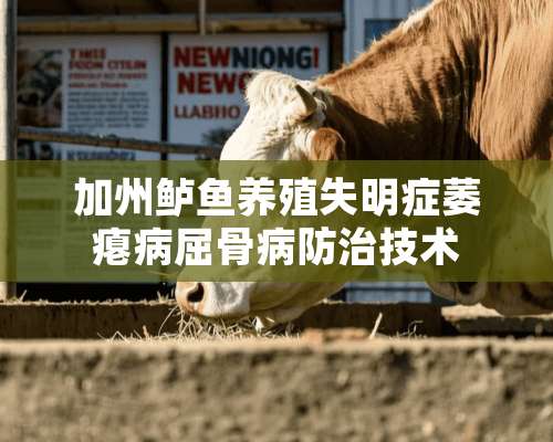 加州鲈鱼养殖失明症萎瘪病屈骨病防治技术