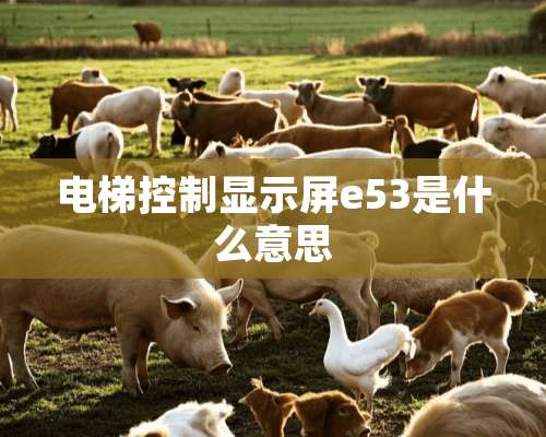 电梯控制显示屏e53是什么意思