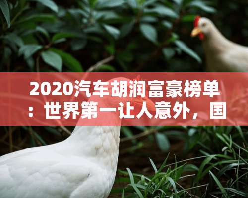 2020汽车胡润富豪榜单：世界第一让人意外，国内第一板上钉钉