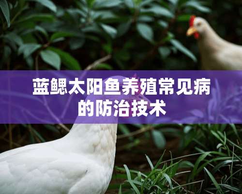 蓝鳃太阳鱼养殖常见病的防治技术