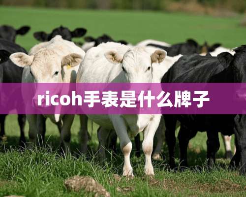 ricoh手表是什么牌子