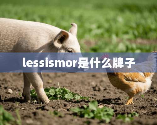 lessismor是什么牌子