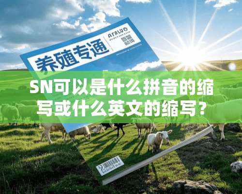 SN可以是什么拼音的缩写或什么英文的缩写？