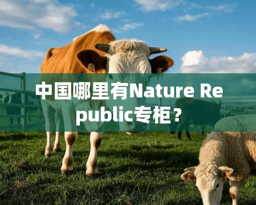 中国哪里有Nature Republic专柜？