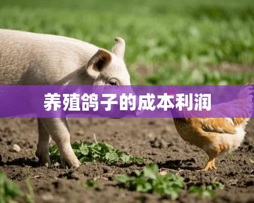 养殖鸽子的成本利润