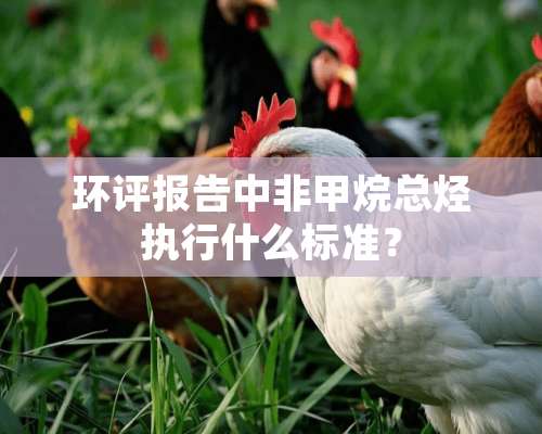 环评报告中非甲烷总烃执行什么标准？