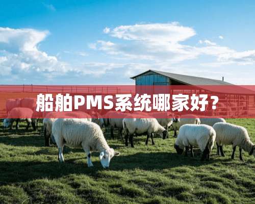 船舶PMS系统哪家好？