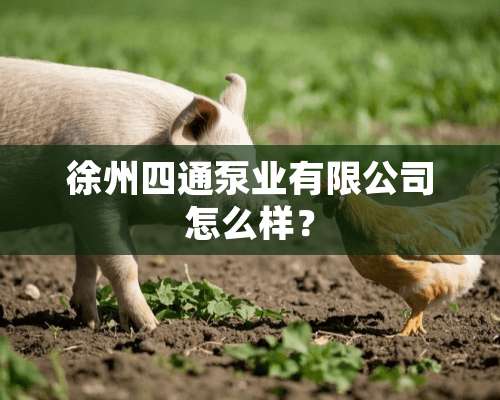 徐州四通泵业有限公司怎么样？