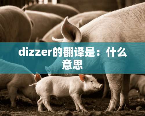 dizzer的翻译是：什么意思