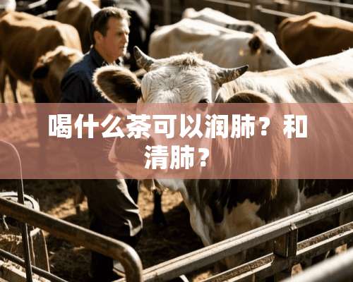 喝什么茶可以润肺？和清肺？