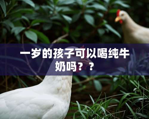 一岁的孩子可以喝纯牛奶吗？？