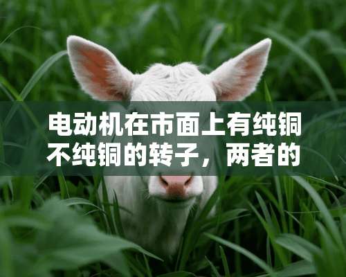 电动机在市面上有纯铜不纯铜的转子，两者的优缺点分别是什么？