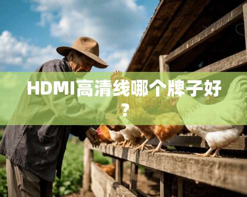 HDMI高清线哪个牌子好？