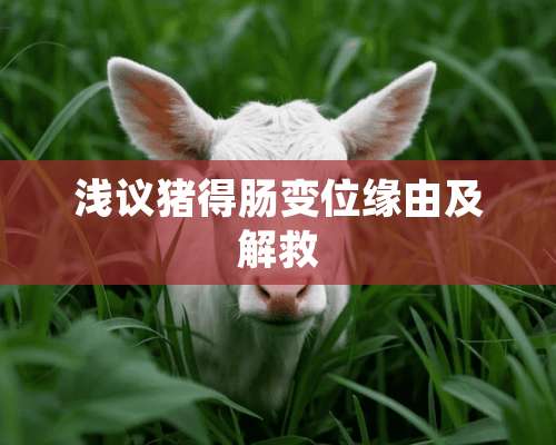 浅议猪得肠变位缘由及解救