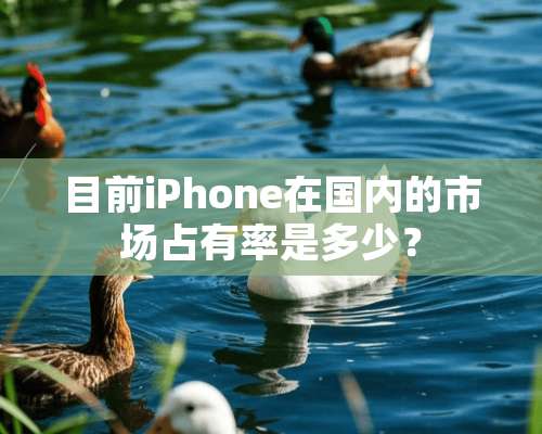 目前iPhone在国内的市场占有率是多少？