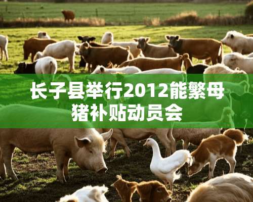 长子县举行2012能繁母猪补贴动员会