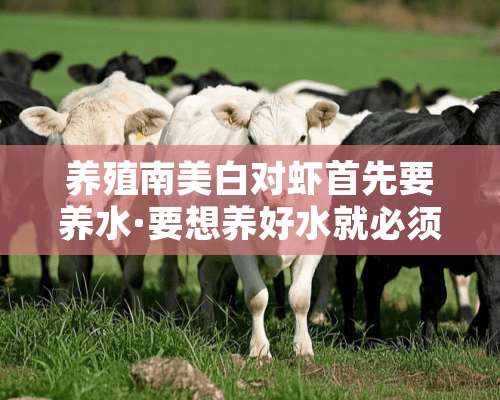 养殖南美白对虾首先要养水·要想养好水就必须改好底