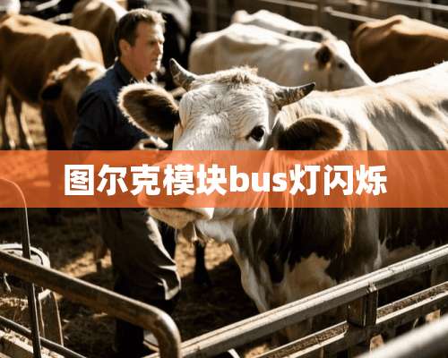 图尔克模块bus灯闪烁