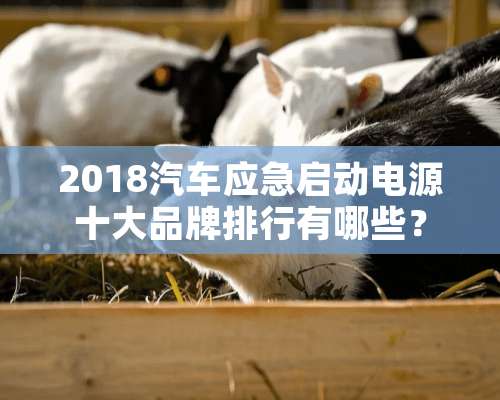 2018汽车应急启动电源十大品牌排行有哪些？