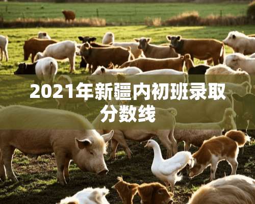 2021年新疆内初班录取分数线