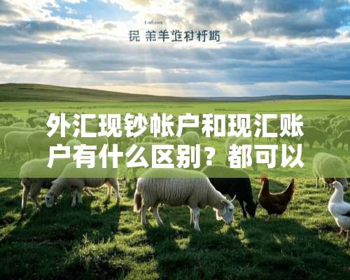 外汇现钞帐户和现汇账户有什么区别？都可以提取外汇吗？