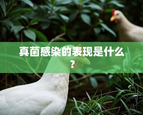 真菌感染的表现是什么？