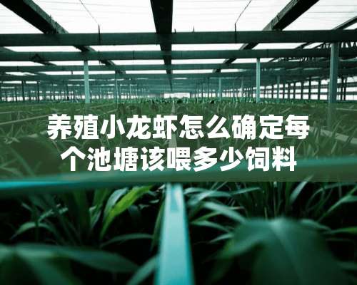 养殖小龙虾怎么确定每个池塘该喂多少饲料