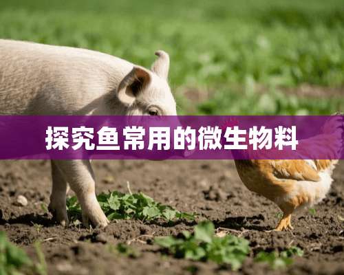 探究鱼常用的微生物料