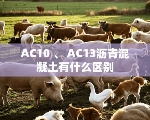 AC10 、 AC13沥青混凝土有什么区别