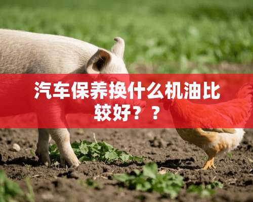 汽车保养换什么机油比较好？？