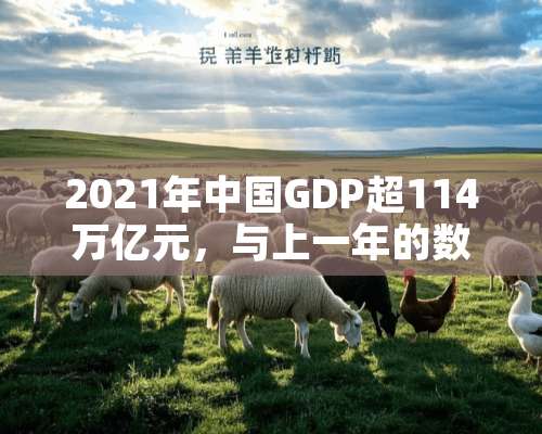 2021年中国GDP超114万亿元，与上一年的数据相比情况如何？