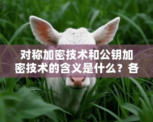 对称加密技术和公钥加密技术的含义是什么？各有什么优点，代表算法有哪些？