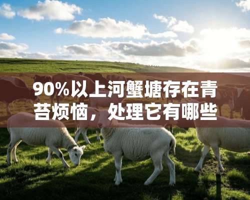 90%以上河蟹塘存在青苔烦恼，处理它有哪些误区？预防三部曲怎么唱好