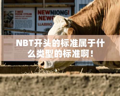 NBT开头的标准属于什么类型的标准啊！