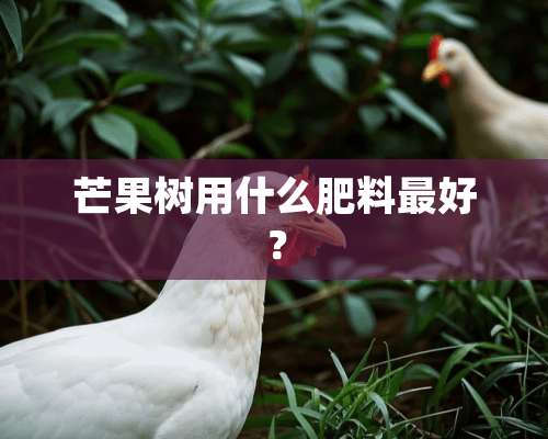 芒果树用什么肥料最好？