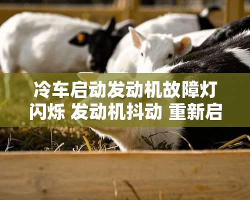 冷车启动发动机故障灯闪烁 发动机抖动 重新启动后故障消失